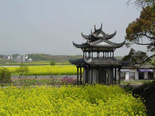 2014黄山油菜花摄影大赛开幕 