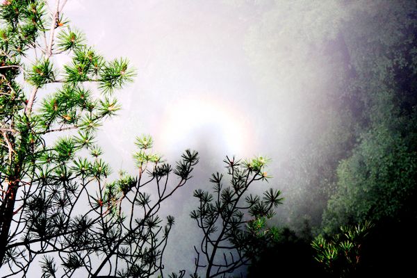 黄山雨后佛光露脸 游客目睹惊喜万分