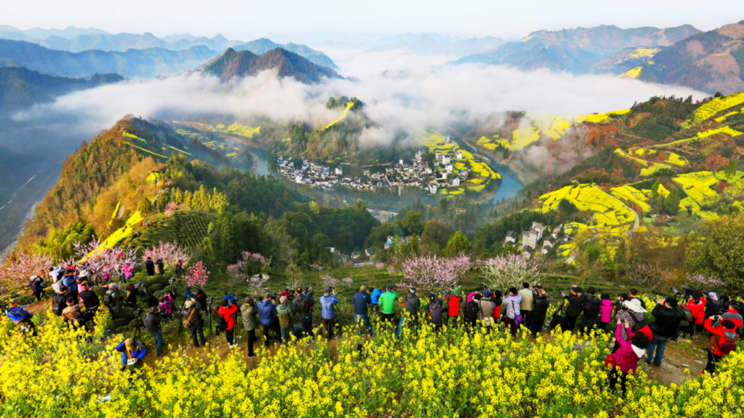 黄山四月免门票拉，快来薅羊毛